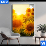 Leuchtbild Sonnenblumen Im Abendlicht Hochformat Produktvorschau mit dem Bild Sonnenblumen im Abendlicht im Format Hochformat.