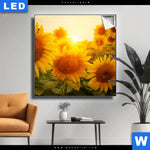 Leuchtbild Sonnenblumen Im Abendlicht Quadrat Produktvorschau mit dem Bild Sonnenblumen im Abendlicht im Format Quadrat.