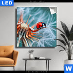 Leuchtbild Sonnenkaefer Auf Pusteblume Quadrat Produktvorschau mit dem Bild Sonnenkäfer auf Pusteblume im Format Quadrat.