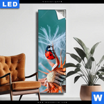 Leuchtbild Sonnenkaefer Auf Pusteblume Schmal Produktvorschau mit dem Bild Sonnenkäfer auf Pusteblume im Format Schmal.