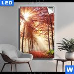 Leuchtbild Sonnenlicht Im Nebligen Wald Hochformat Produktvorschau mit dem Bild Sonnenlicht im nebligen Wald im Format Hochformat.