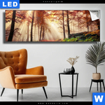 Leuchtbild Sonnenlicht Im Nebligen Wald Panorama Produktvorschau mit dem Bild Sonnenlicht im nebligen Wald im Format Panorama.
