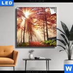 Leuchtbild Sonnenlicht Im Nebligen Wald Quadrat Produktvorschau mit dem Bild Sonnenlicht im nebligen Wald im Format Quadrat.