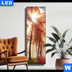 Leuchtbild Sonnenlicht Im Nebligen Wald Schmal Produktvorschau mit dem Bild Sonnenlicht im nebligen Wald im Format Schmal.
