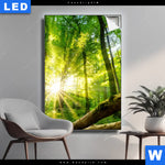 Leuchtbild Sonnenstrahlen Im Dichten Wald Hochformat Produktvorschau mit dem Bild Sonnenstrahlen im dichten Wald im Format Hochformat.