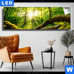Leuchtbild Sonnenstrahlen Im Dichten Wald Panorama Produktvorschau mit dem Bild Sonnenstrahlen im dichten Wald im Format Panorama.