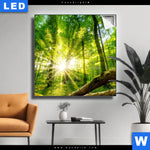 Leuchtbild Sonnenstrahlen Im Dichten Wald Quadrat Produktvorschau mit dem Bild Sonnenstrahlen im dichten Wald im Format Quadrat.