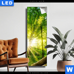 Leuchtbild Sonnenstrahlen Im Dichten Wald Schmal Produktvorschau mit dem Bild Sonnenstrahlen im dichten Wald im Format Schmal.