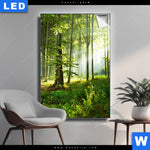 Leuchtbild Sonniger Morgen Im Wald Hochformat Produktvorschau mit dem Bild Sonniger Morgen im Wald im Format Hochformat.