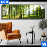 Leuchtbild Sonniger Morgen Im Wald Panorama Produktvorschau mit dem Bild Sonniger Morgen im Wald im Format Panorama.