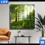 Leuchtbild Sonniger Morgen Im Wald Quadrat Produktvorschau mit dem Bild Sonniger Morgen im Wald im Format Quadrat.
