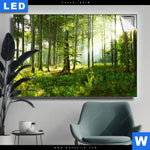 Leuchtbild Sonniger Morgen Im Wald Querformat Produktvorschau mit dem Bild Sonniger Morgen im Wald im Format Querformat.