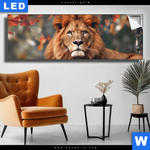 Leuchtbild Stolzer Blick Des Loewen Panorama Produktvorschau mit dem Bild Stolzer Blick des Löwen im Format Panorama.