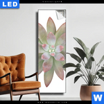 Leuchtbild Sukkulente No 1 Schmal Produktvorschau mit dem Bild Sukkulente No.1 im Format Schmal.