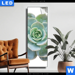 Leuchtbild Sukkulente No 3 Schmal Produktvorschau mit dem Bild Sukkulente No.3 im Format Schmal.