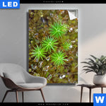 Leuchtbild Tautropfen Auf Moos Hochformat Produktvorschau mit dem Bild Tautropfen auf Moos im Format Hochformat.