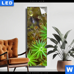 Leuchtbild Tautropfen Auf Moos Schmal Produktvorschau mit dem Bild Tautropfen auf Moos im Format Schmal.