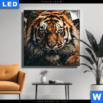 Leuchtbild Tiger Im Wasser Quadrat Produktvorschau mit dem Bild Tiger im Wasser im Format Quadrat.