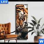 Leuchtbild Tiger Im Wasser Schmal Produktvorschau mit dem Bild Tiger im Wasser im Format Schmal.