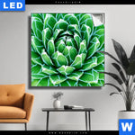 Leuchtbild Tropische Pflanze Quadrat Produktvorschau mit dem Bild Tropische Pflanze im Format Quadrat.