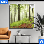 Leuchtbild Unberuehrte Natur Der Wald Quadrat Produktvorschau mit dem Bild Unberührte Natur - Der Wald im Format Quadrat.