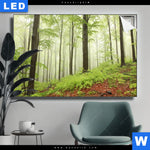 Leuchtbild Unberuehrte Natur Der Wald Querformat Produktvorschau mit dem Bild Unberührte Natur - Der Wald im Format Querformat.