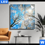 Leuchtbild Wald Im Winter Quadrat Produktvorschau mit dem Bild Wald im Winter im Format Quadrat.