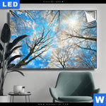 Leuchtbild Wald Im Winter Querformat Produktvorschau mit dem Bild Wald im Winter im Format Querformat.