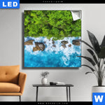 Leuchtbild Wald Meer Quadrat Produktvorschau mit dem Bild Wald & Meer im Format Quadrat.