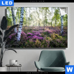 Leuchtbild Wald Mit Heideblumen Querformat Produktvorschau mit dem Bild Wald mit Heideblumen im Format Querformat.