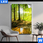 Leuchtbild Wald Mit Sonnenstrahlen Hochformat Produktvorschau mit dem Bild Wald mit Sonnenstrahlen im Format Hochformat.