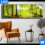 Leuchtbild Wald Mit Sonnenstrahlen Panorama Produktvorschau mit dem Bild Wald mit Sonnenstrahlen im Format Panorama.