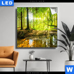 Leuchtbild Wald Mit Sonnenstrahlen Quadrat Produktvorschau mit dem Bild Wald mit Sonnenstrahlen im Format Quadrat.
