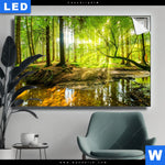 Leuchtbild Wald Mit Sonnenstrahlen Querformat Produktvorschau mit dem Bild Wald mit Sonnenstrahlen im Format Querformat.