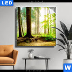 Leuchtbild Waldpanorama Quadrat Produktvorschau mit dem Bild Waldpanorama im Format Quadrat.