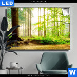 Leuchtbild Waldpanorama Querformat Produktvorschau mit dem Bild Waldpanorama im Format Querformat.