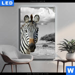 Leuchtbild Zebra In Afrika Hochformat Produktvorschau mit dem Bild Zebra in Afrika im Format Hochformat.