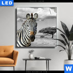 Leuchtbild Zebra In Afrika Quadrat Produktvorschau mit dem Bild Zebra in Afrika im Format Quadrat.