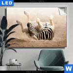 Leuchtbild Zebra Staub Querformat Produktvorschau mit dem Bild Zebra & Staub im Format Querformat.