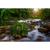 Motivvorschau Leuchtbild Querformat Asiatischer tropischer Dschungel