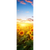 Motivvorschau Leuchtbild Schmal Leuchtend gelbe Sonnenblumen am Abend