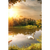 Motivvorschau Leuchtbild Hochformat Schwan im Teich
