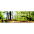Motivvorschau Leuchtbild Panorama Waldpanorama
