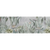 Motivvorschau Spannbild Panorama Tropische Bäume und Blätter