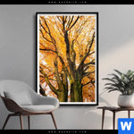 Poster Alte Buche Hochformat Produktvorschau mit dem Bild Alte Buche im Format Hochformat.