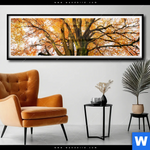 Poster Alte Buche Panorama Produktvorschau mit dem Bild Alte Buche im Format Panorama.