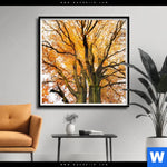 Poster Alte Buche Quadrat Produktvorschau mit dem Bild Alte Buche im Format Quadrat.