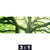 Poster Baum Im Wald Panorama Motivorschau Seitenverhaeltnis 3 1