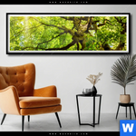 Poster Baumkrone Einer Buche Panorama Produktvorschau mit dem Bild Baumkrone einer Buche im Format Panorama.