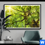 Poster Baumkrone Einer Buche Querformat Produktvorschau mit dem Bild Baumkrone einer Buche im Format Querformat.